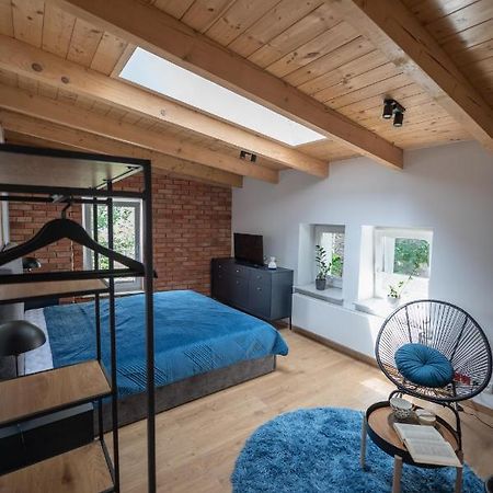 Apartamenty Mlynska 5 Bielsko-Biała Extérieur photo