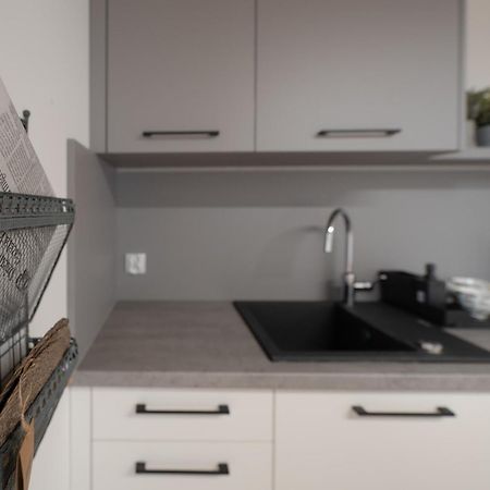 Apartamenty Mlynska 5 Bielsko-Biała Extérieur photo