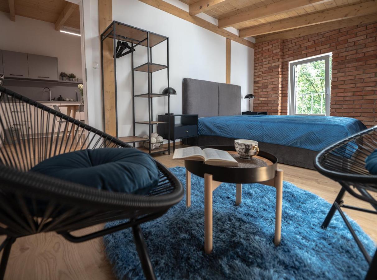 Apartamenty Mlynska 5 Bielsko-Biała Extérieur photo