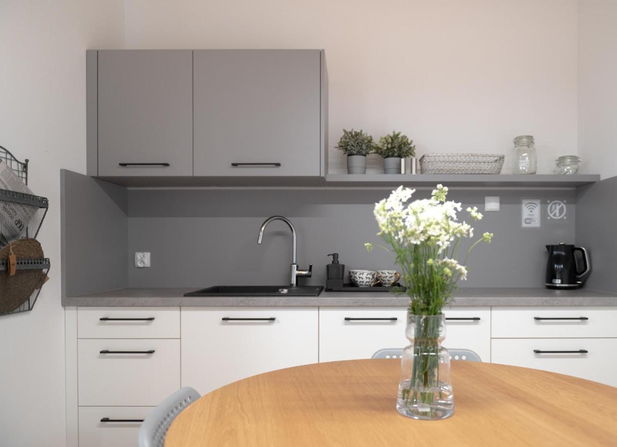 Apartamenty Mlynska 5 Bielsko-Biała Extérieur photo