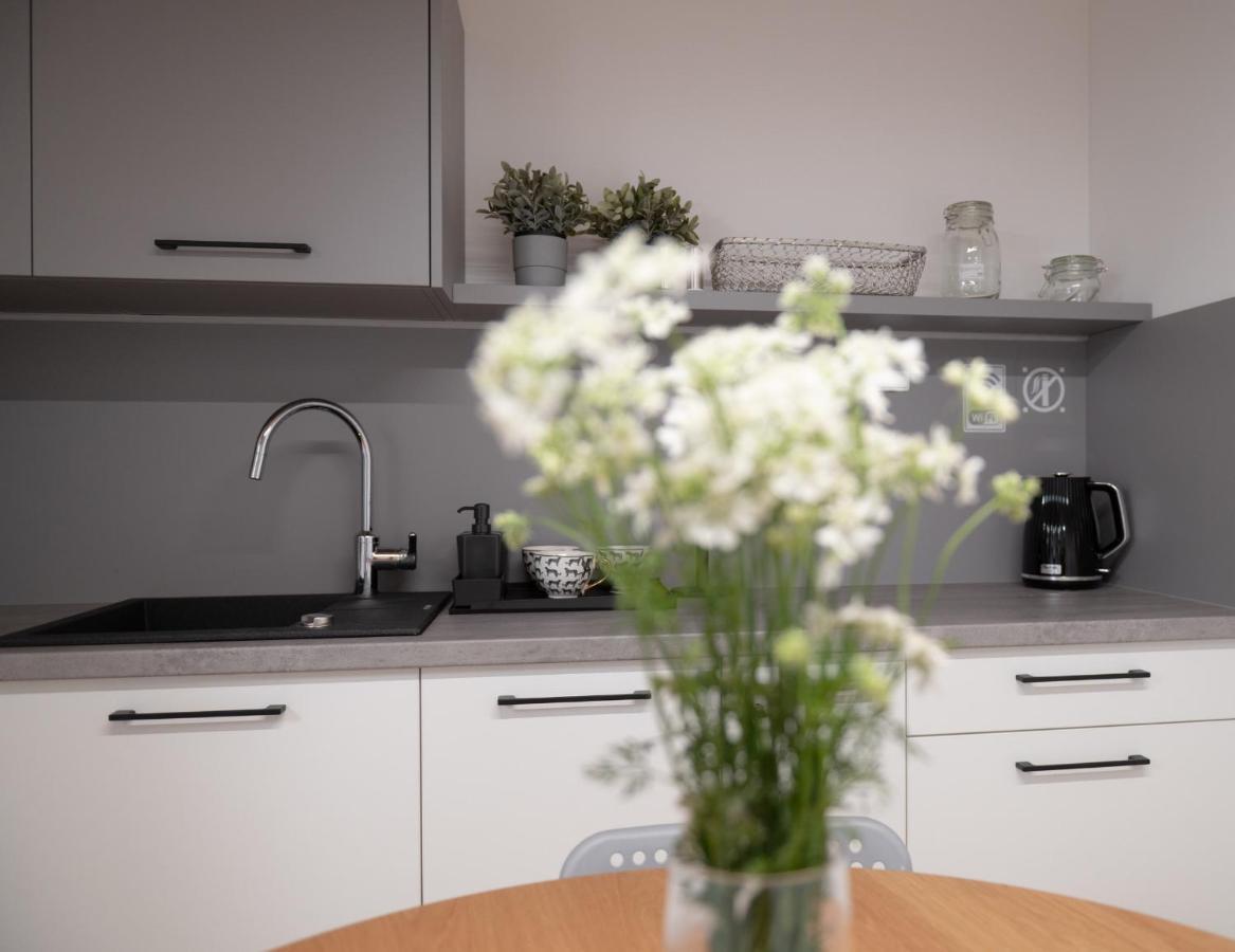Apartamenty Mlynska 5 Bielsko-Biała Extérieur photo