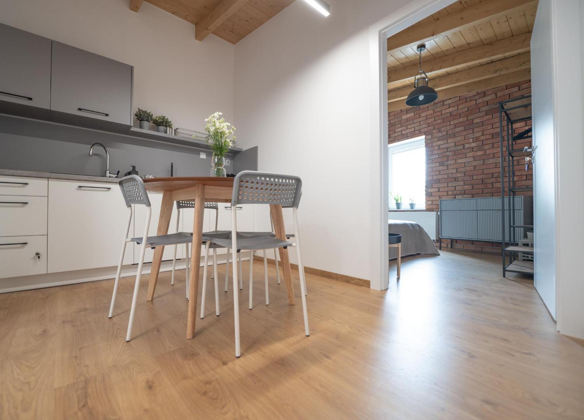 Apartamenty Mlynska 5 Bielsko-Biała Extérieur photo