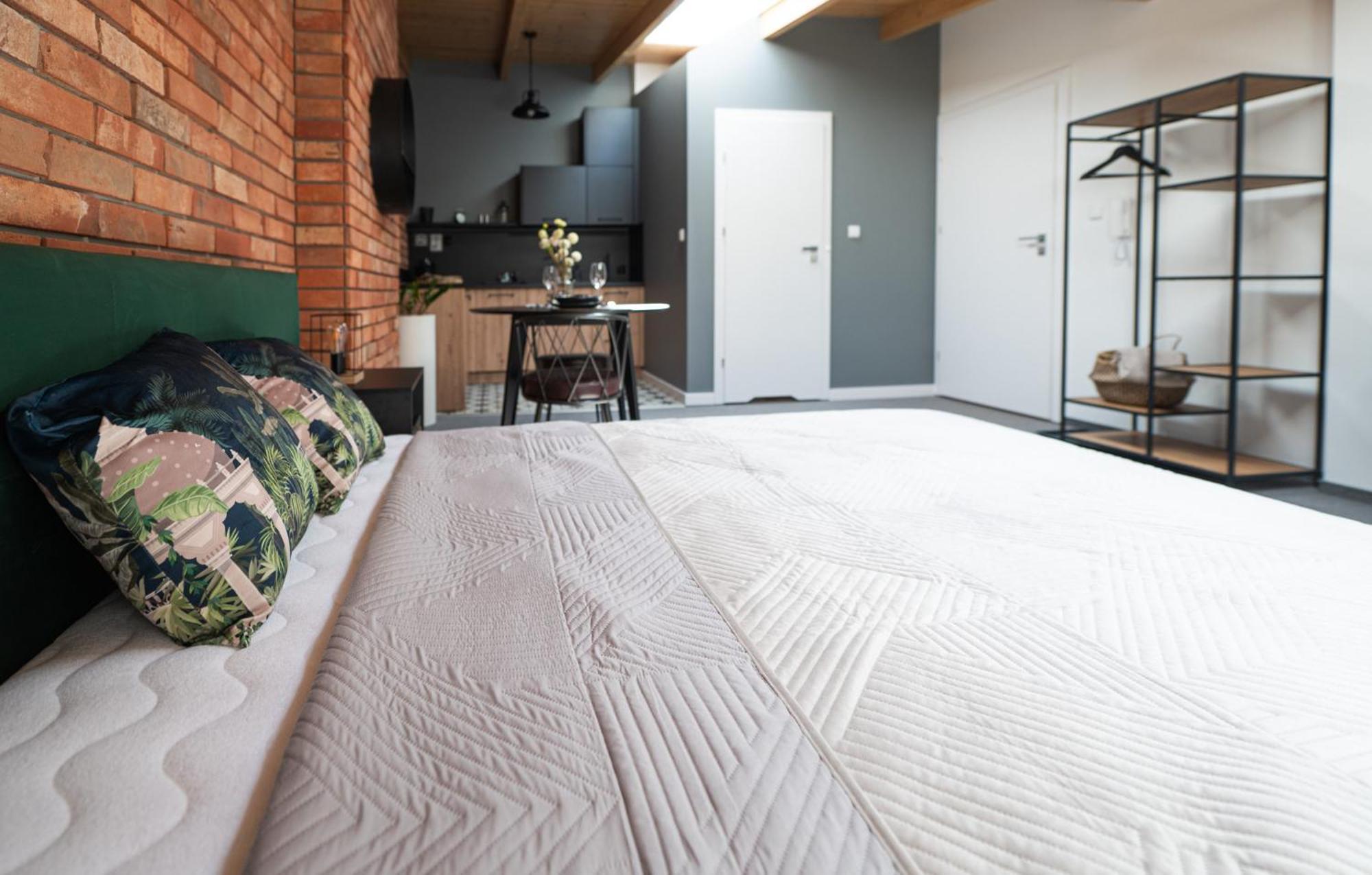 Apartamenty Mlynska 5 Bielsko-Biała Extérieur photo