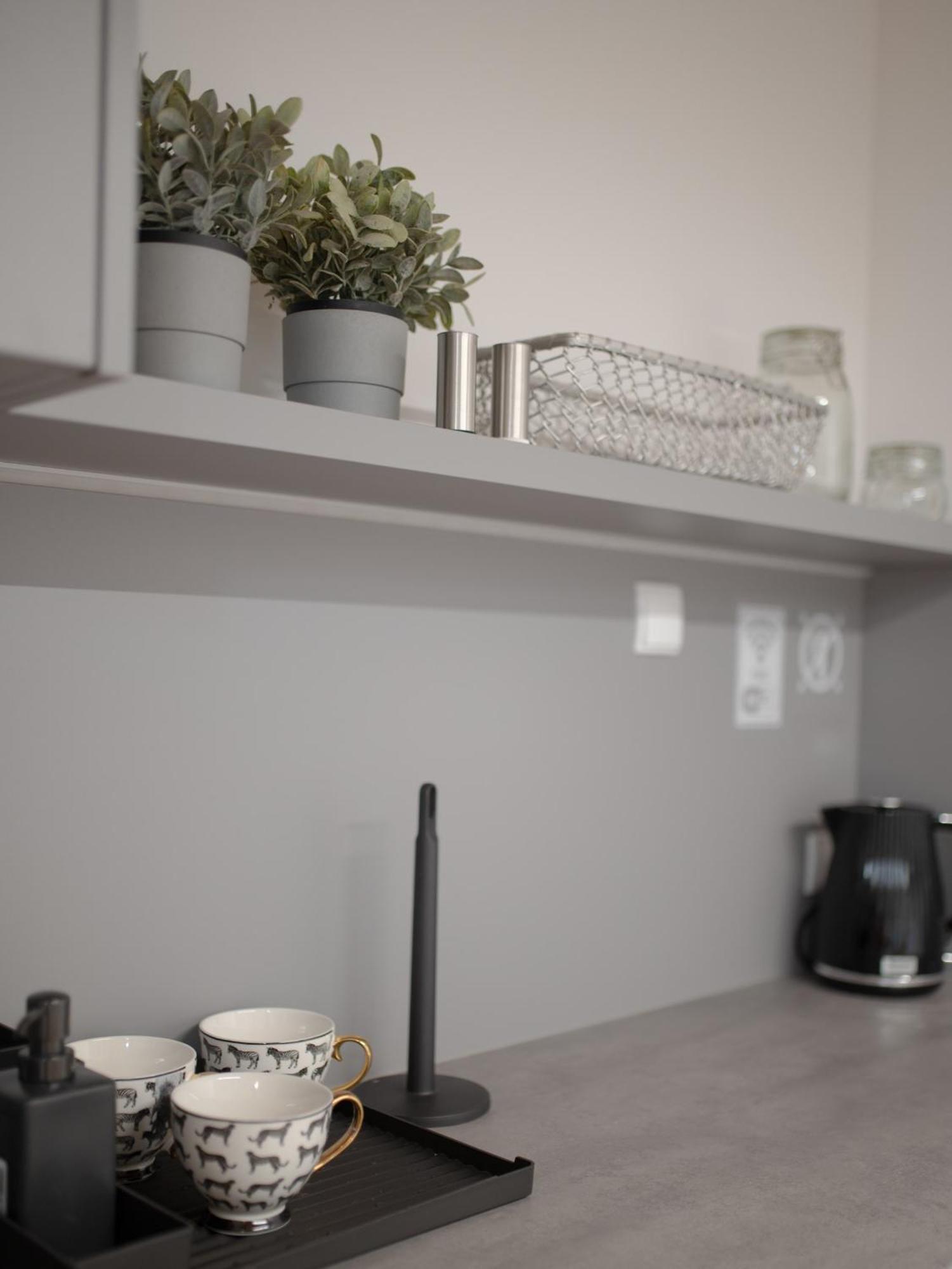 Apartamenty Mlynska 5 Bielsko-Biała Extérieur photo